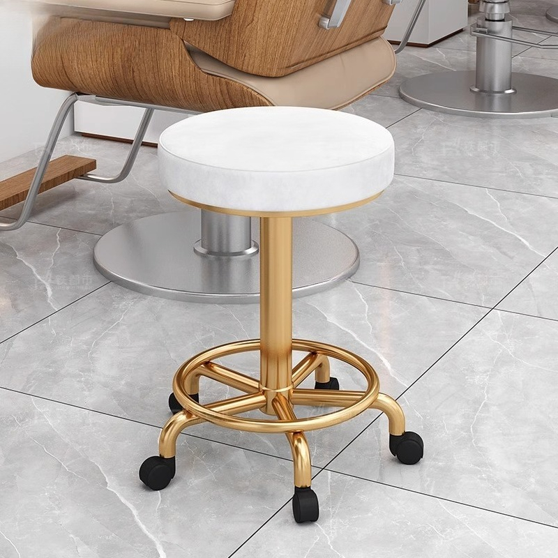 Moderner, einfacher Schönheits – Beauty Makeup Chair Bewertung und Preis